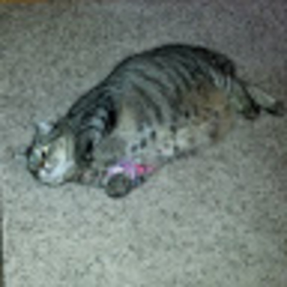 Meet your Posher, Tl - Picture 1 of 1